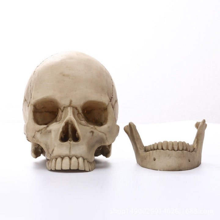 1:1 Menselijk schedel hoofd beeld voor huisdecoratie hars figuren Halloween decoratie sculptuur medische les schetsmodel ambacht