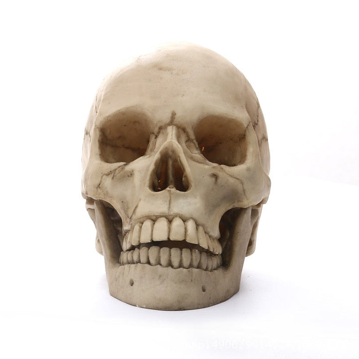 1:1 Menselijk schedel hoofd beeld voor huisdecoratie hars figuren Halloween decoratie sculptuur medische les schetsmodel ambacht