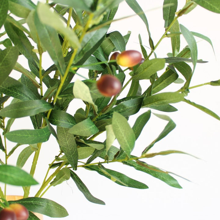 Decoratieve Olijftak Arrangement