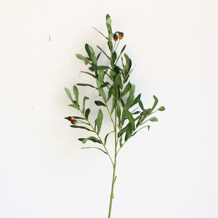 Decoratieve Olijftak Arrangement