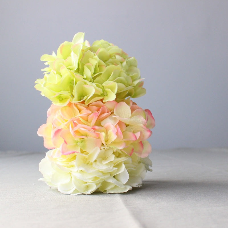 Lush Decoratieve Hydrangea Bloem