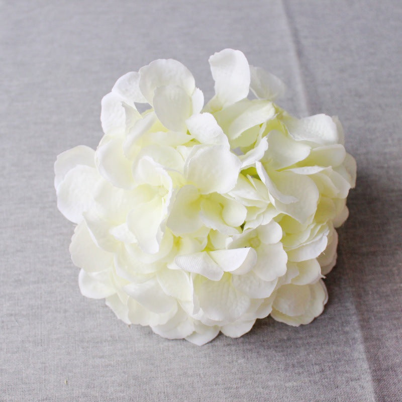 Lush Decoratieve Hydrangea Bloem