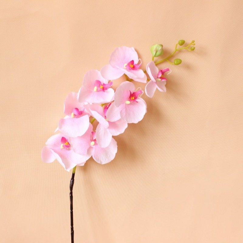 Realistische Decoratieve Orchidee Steel