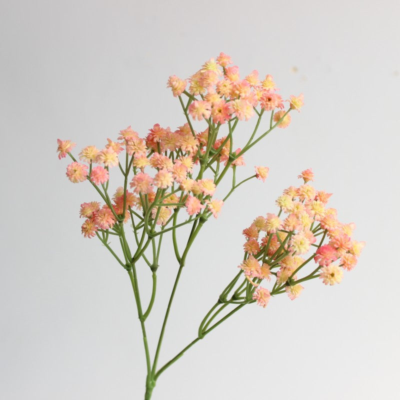 Decoratieve Bloemarrangement
