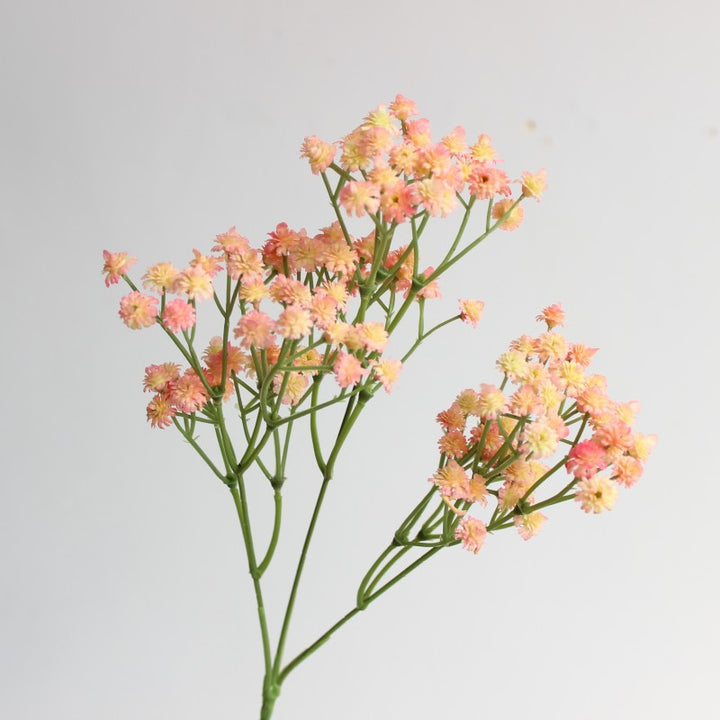 Decoratieve Bloemarrangement