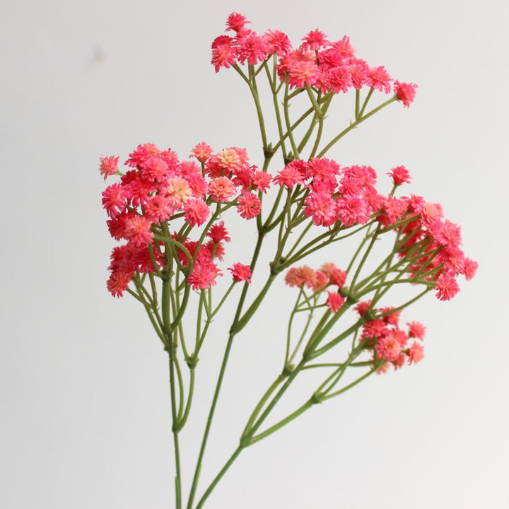 Decoratieve Bloemarrangement