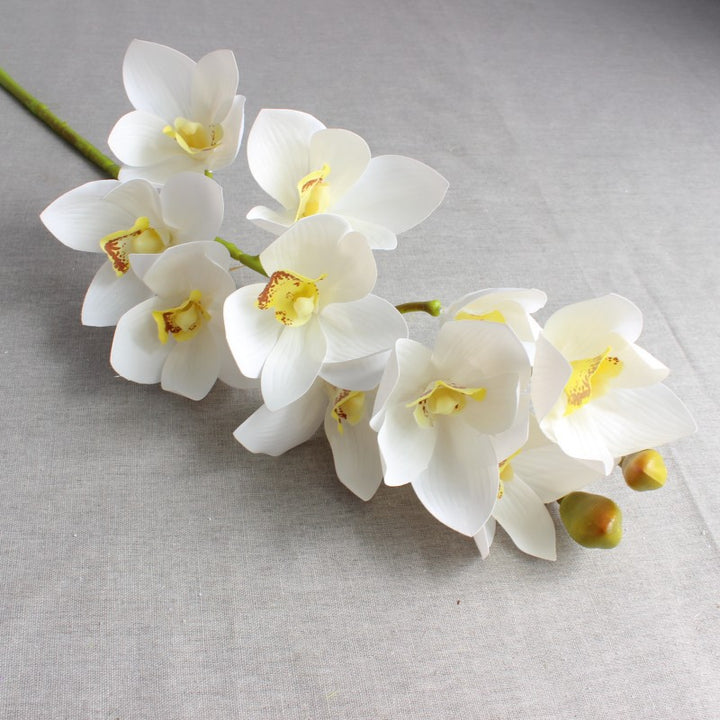 Realistische Orchidee Bloem Arrangement