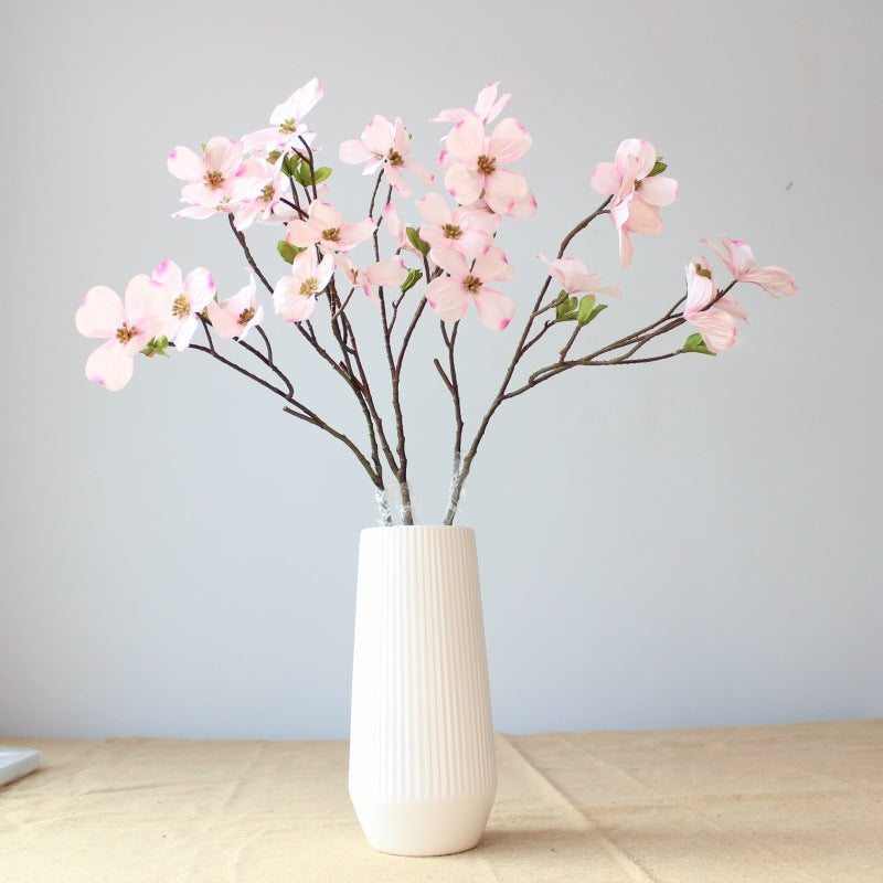 Decoratieve Cornus Steel