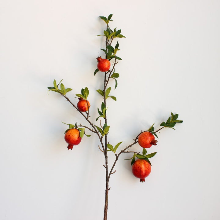 Granaatappel Decoratieve Tak