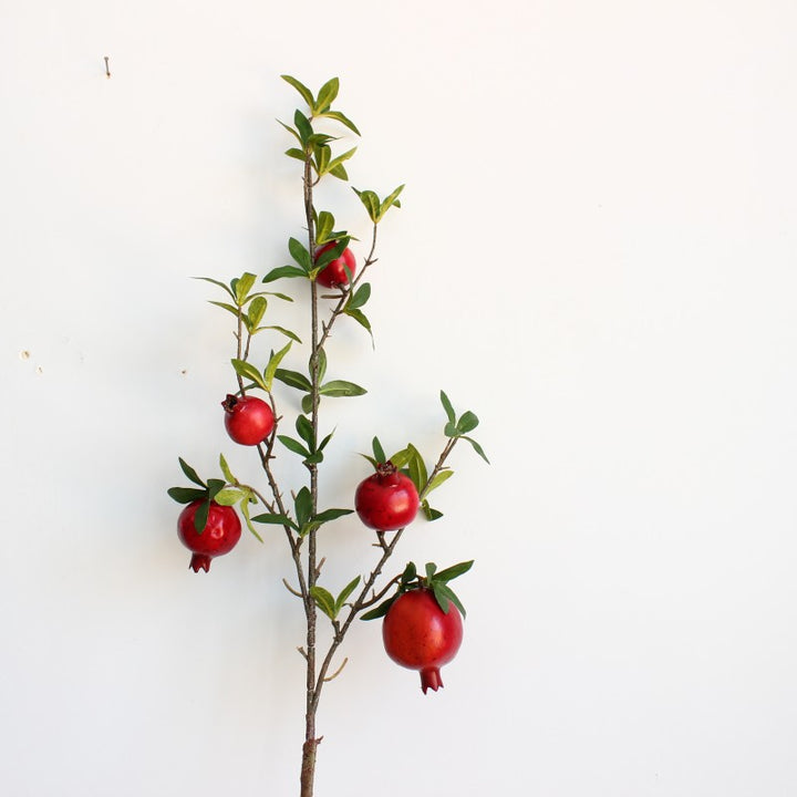 Granaatappel Decoratieve Tak