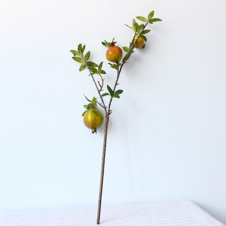 Decoratieve Granaatappel Tak