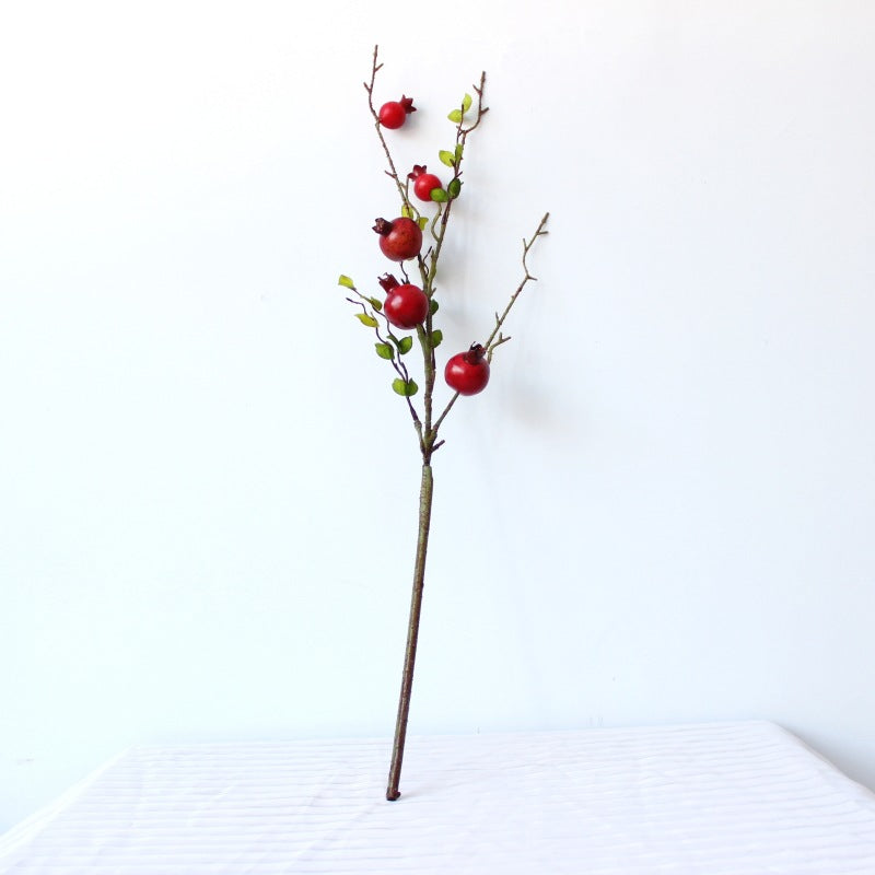 Decoratieve Granaatappel Tak