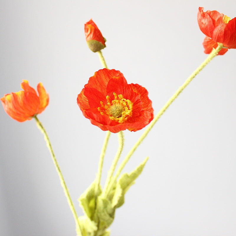 Levensechte Klaprozenbloem Steel