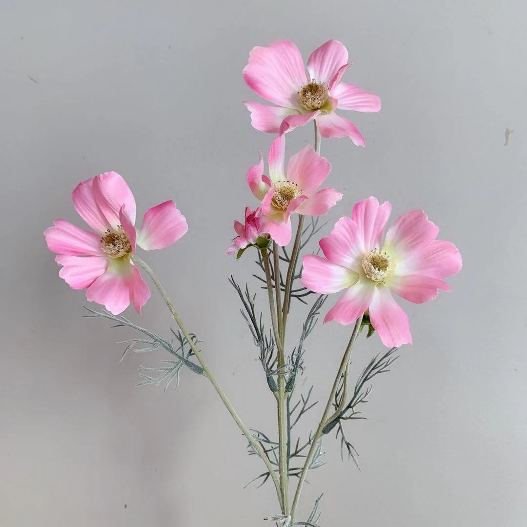 Levensechte Cosmos Bloem Steel