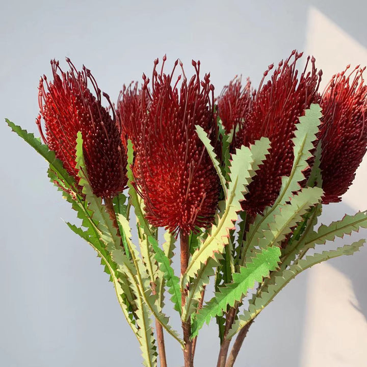 Levensechte inheemse Australische bloemensteel