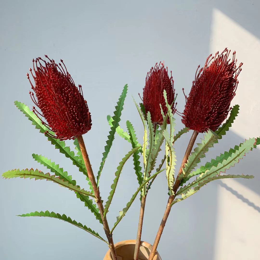Levensechte inheemse Australische bloemensteel