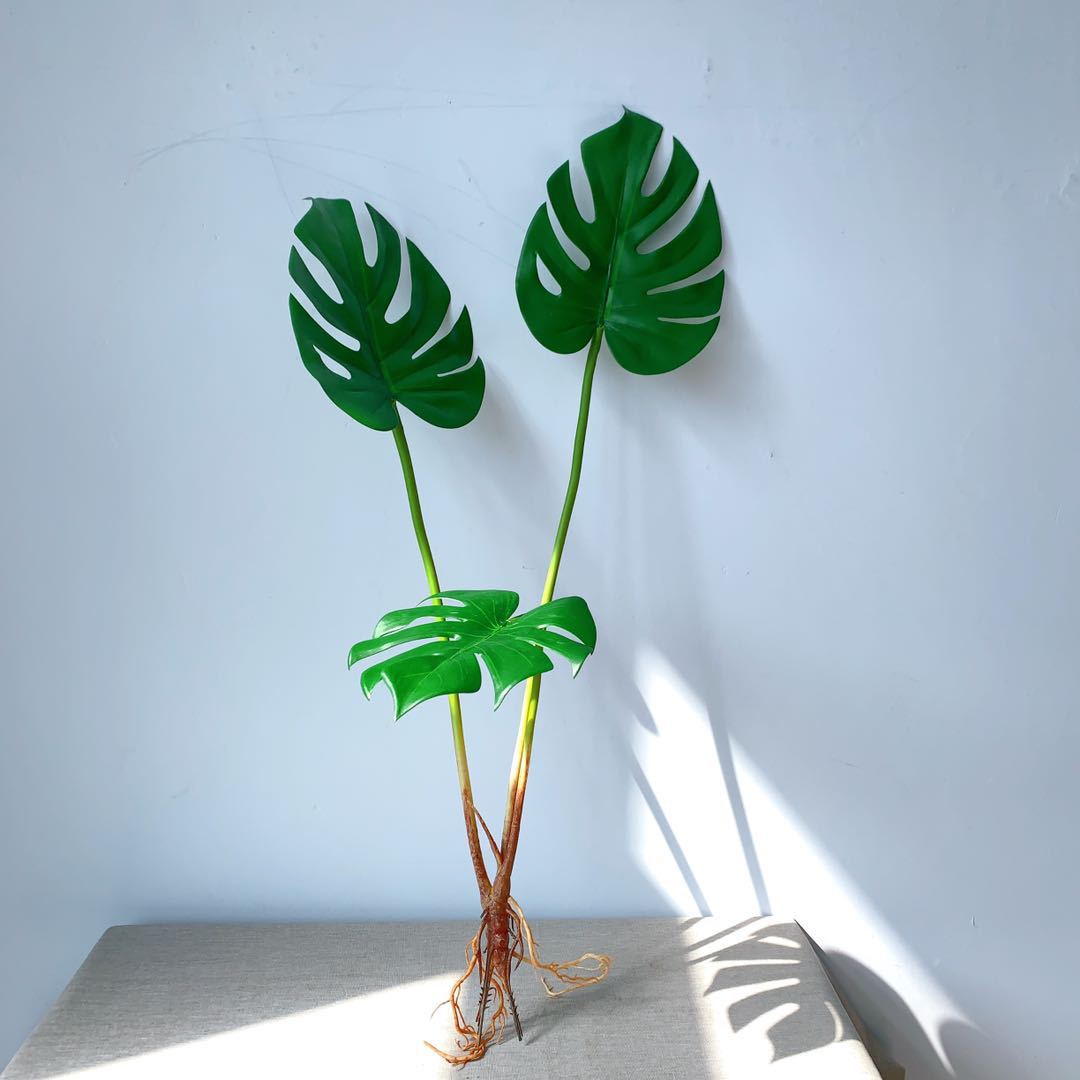 Monstera Leaf Decoratieve Steel