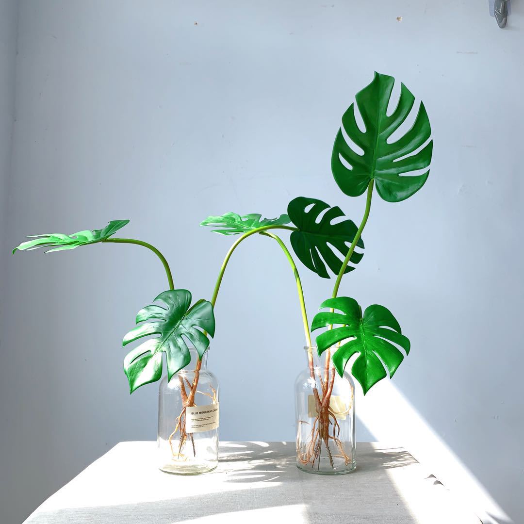 Monstera Leaf Decoratieve Steel