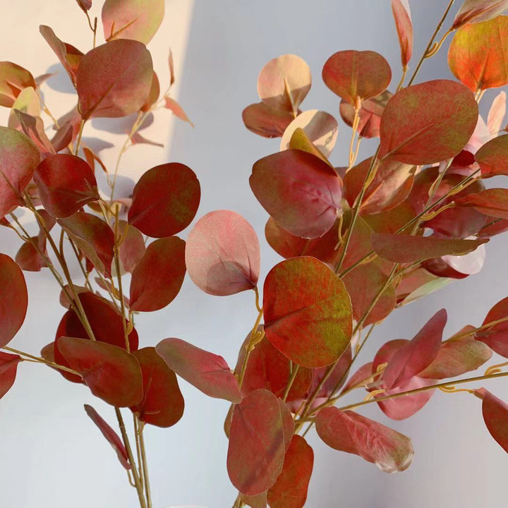 Decoratieve Eucalyptus Steel