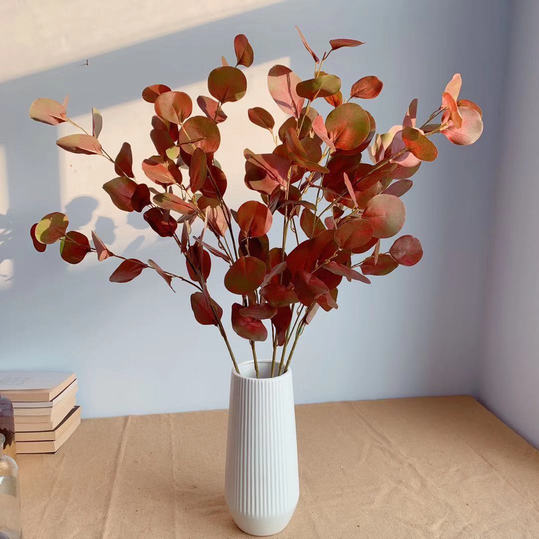 Decoratieve Eucalyptus Steel