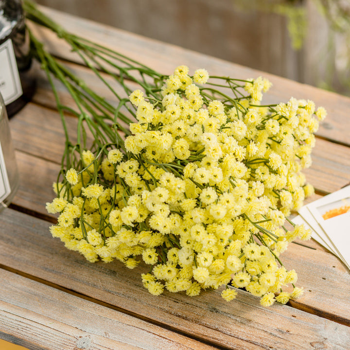Levensecht Gypsophila Bloemenboeket