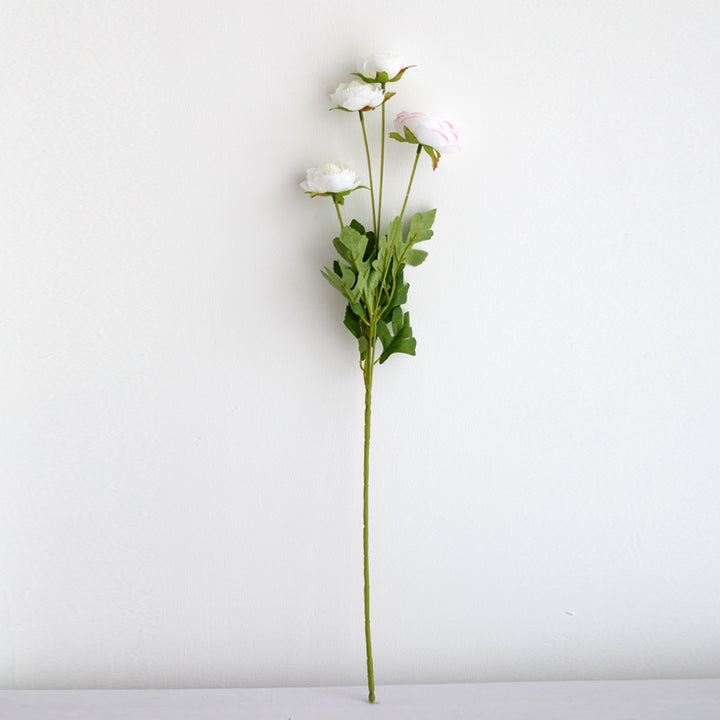 Realistische Pioenbloem Steel