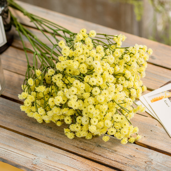 Levensecht Gypsophila Bloemenboeket