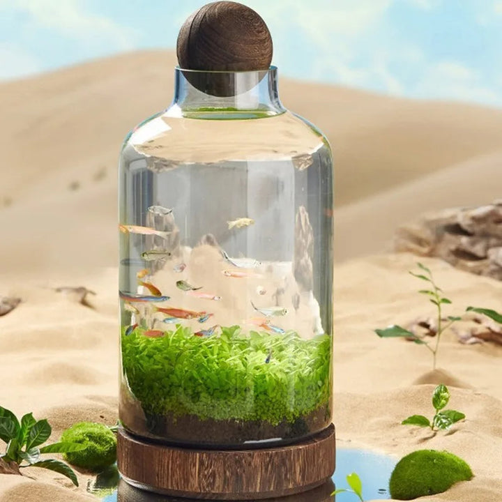 Micro Aquarium Compact Glas Ecologisch Vissentank