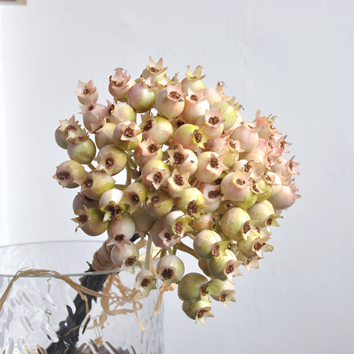 Decoratieve Nepbessen Cluster