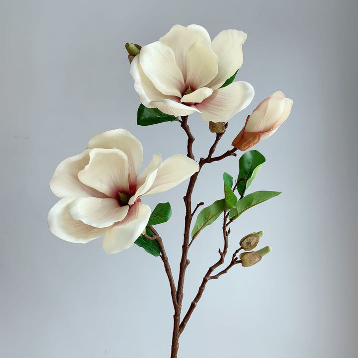 Realistische Magnolia Bloesem Steel