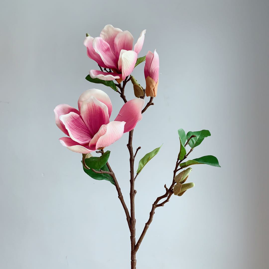 Realistische Magnolia Bloesem Steel