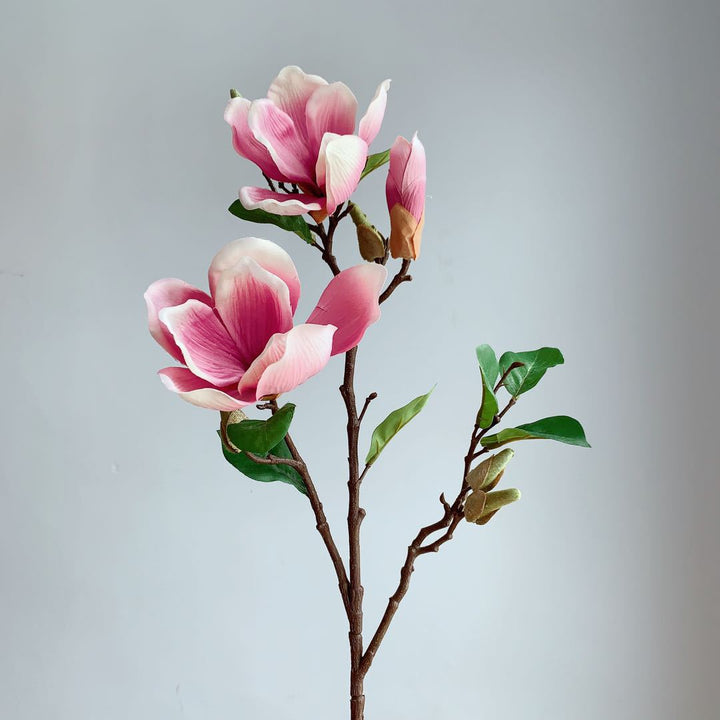 Realistische Magnolia Bloesem Steel