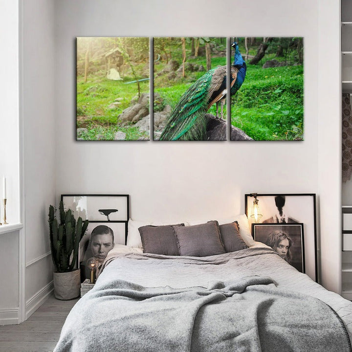 Würdiges zonlicht-pauw-canvas wandkunst schilderij 3 stuk