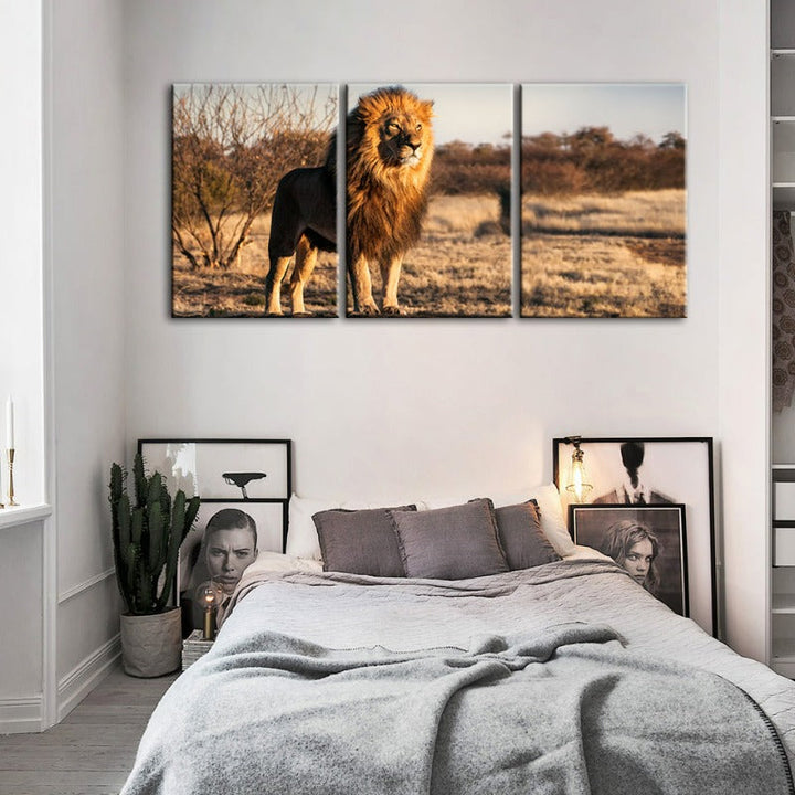 Majestueuze Leeuw Gebaad in Zonlicht - Canvas Muurkunst Schilderij 3 Stukken