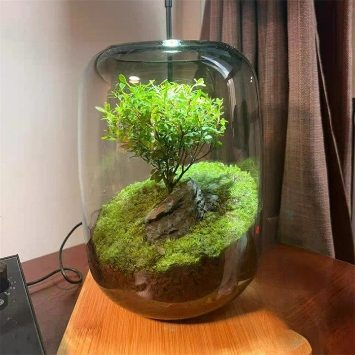 Mikro Landschaft Groene Oasen Glasvase | Arosta