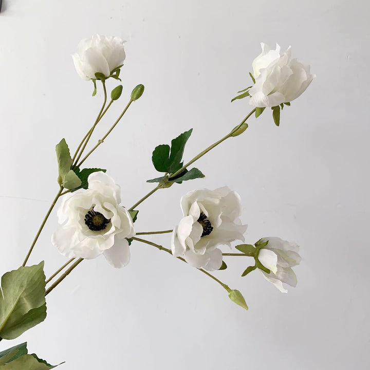 Elegante Pioensteel