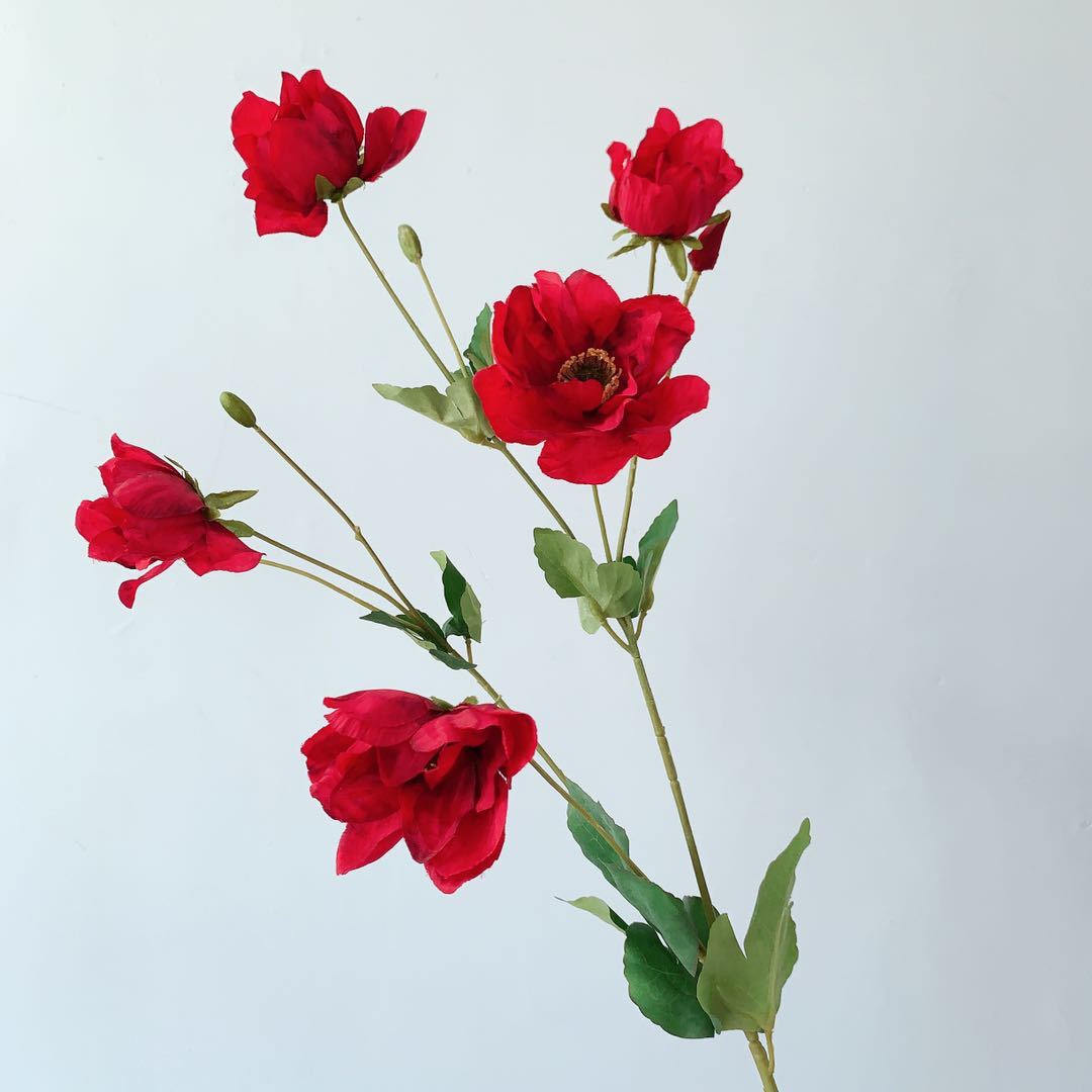 Elegante Pioensteel