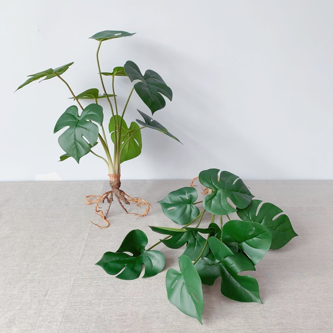 Levensechte Monstera Plant