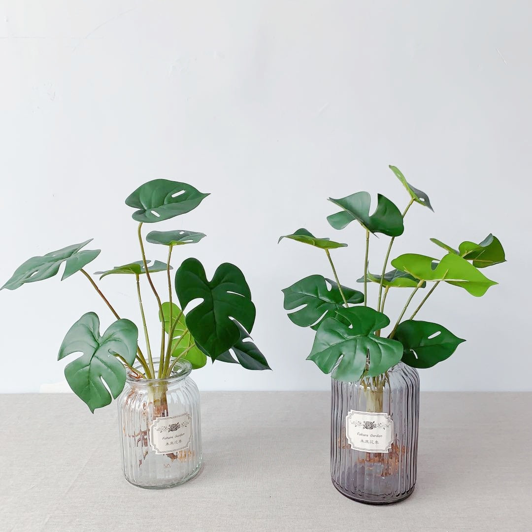 Levensechte Monstera Plant