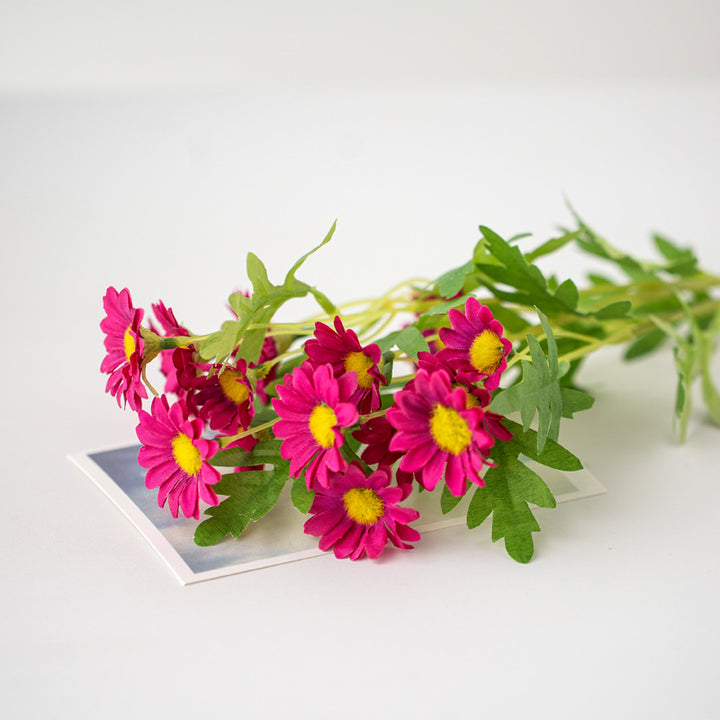 Levensechte Daisy Bloem Stem