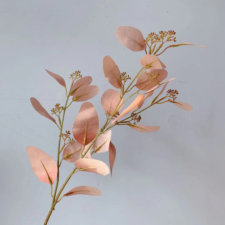 Natuurlijke Eucalyptus Tak