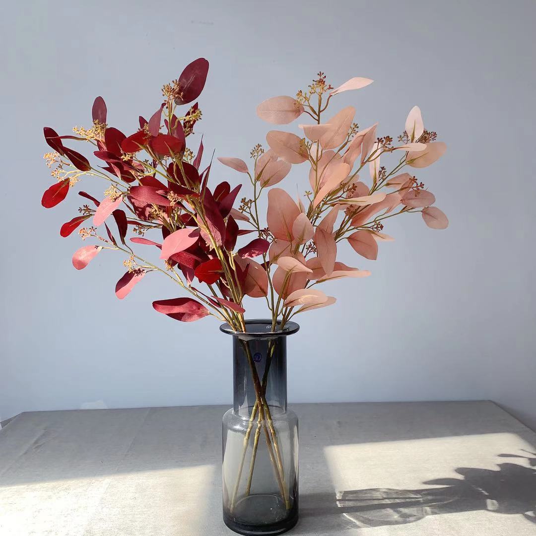 Natuurlijke Eucalyptus Tak