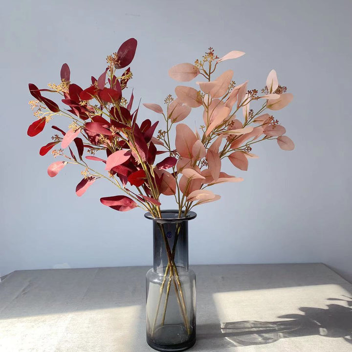 Natuurlijke Eucalyptus Tak