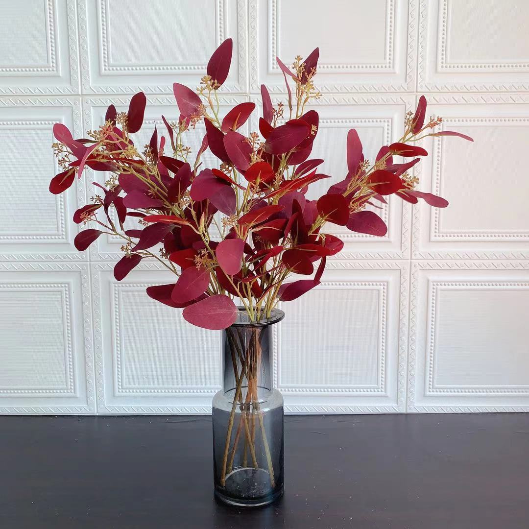 Natuurlijke Eucalyptus Tak