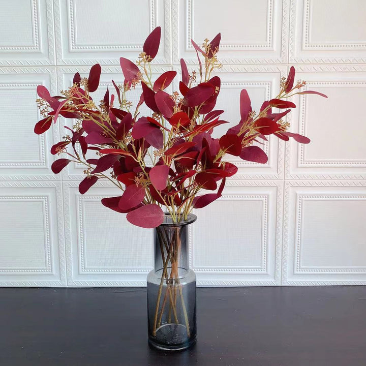 Natuurlijke Eucalyptus Tak