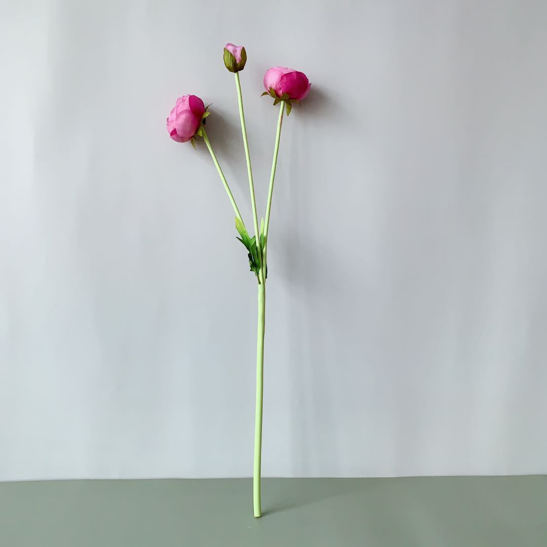 Realistische Pioenroos Bloemsteel