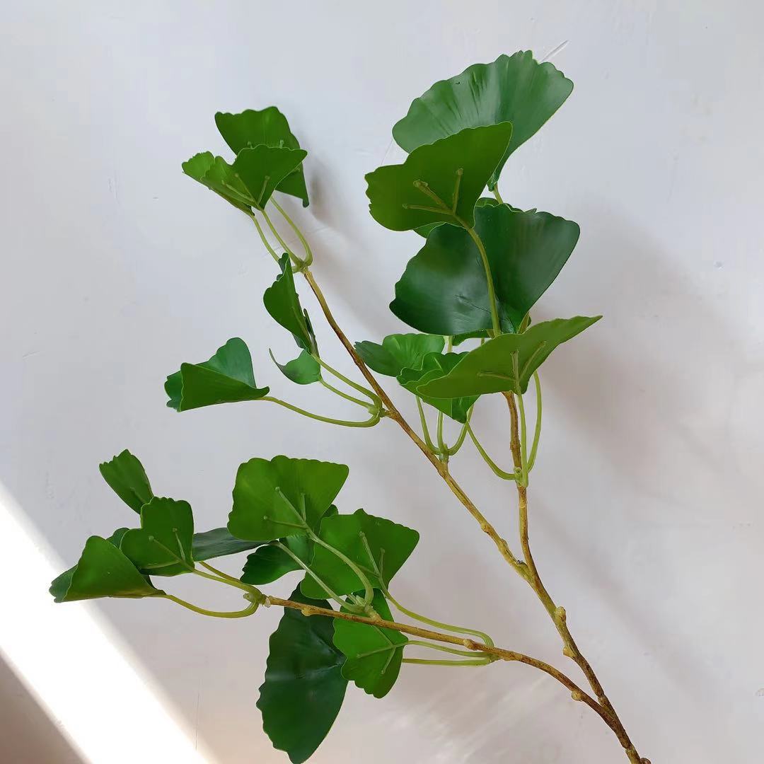 Decoratieve Ginkgo Blad Steel