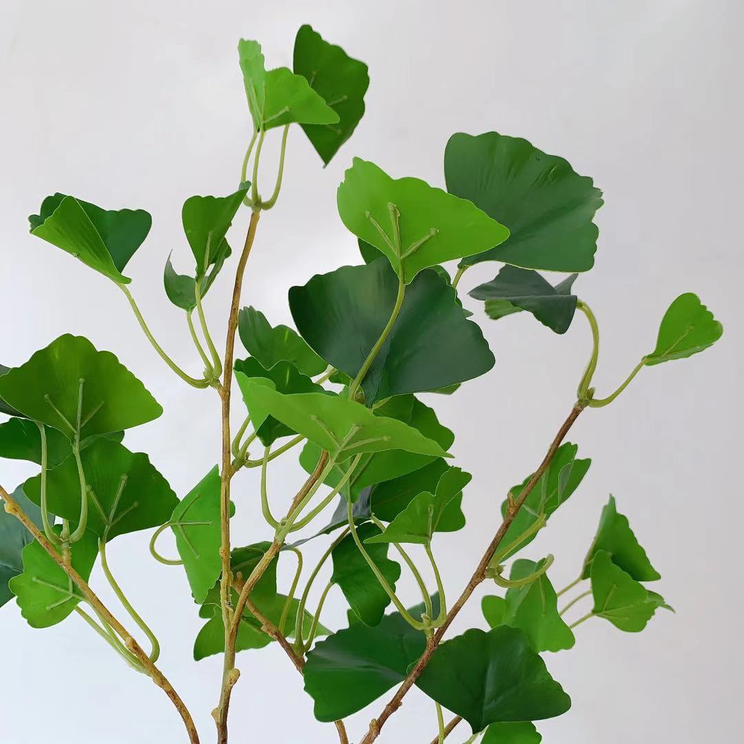 Decoratieve Ginkgo Blad Steel