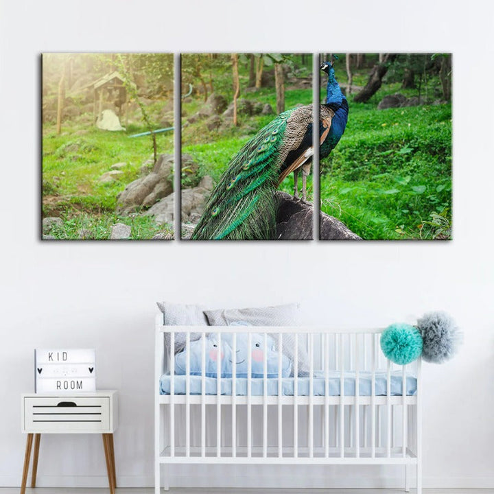 Würdiges zonlicht-pauw-canvas wandkunst schilderij 3 stuk