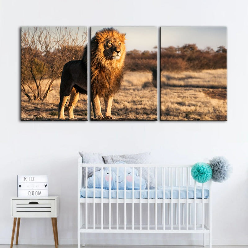Majestueuze Leeuw Gebaad in Zonlicht - Canvas Muurkunst Schilderij 3 Stukken